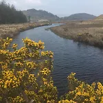 Rath Hill Hébergement de vacances Gortnashingaun