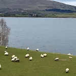Hébergement de vacances Rath Hill Gortnashingaun