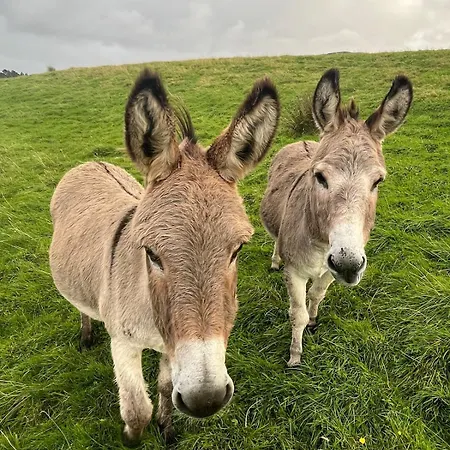 Rath Hill Casa de Férias *