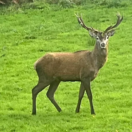 Rath Hill Casa de Férias Gortnashingaun