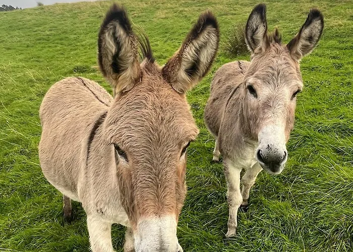 Rath Hill Casa de Férias *