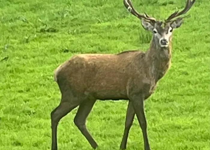 Rath Hill Casa de Férias Gortnashingaun
