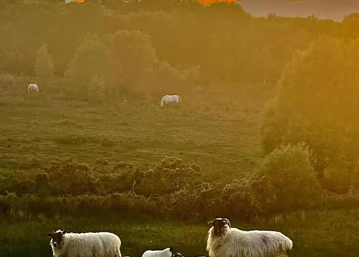 Rath Hill Casa de Férias *