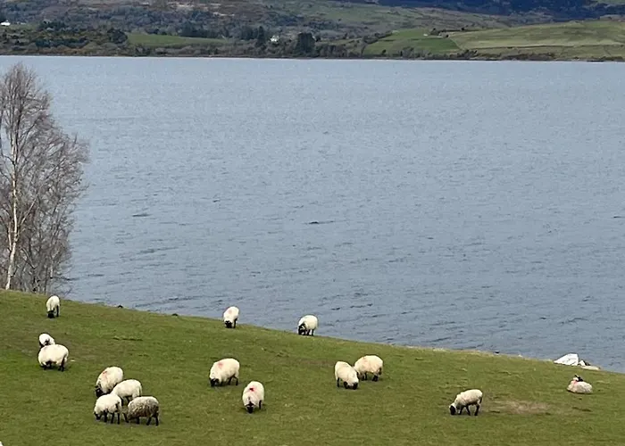 Casa de Férias Rath Hill Gortnashingaun